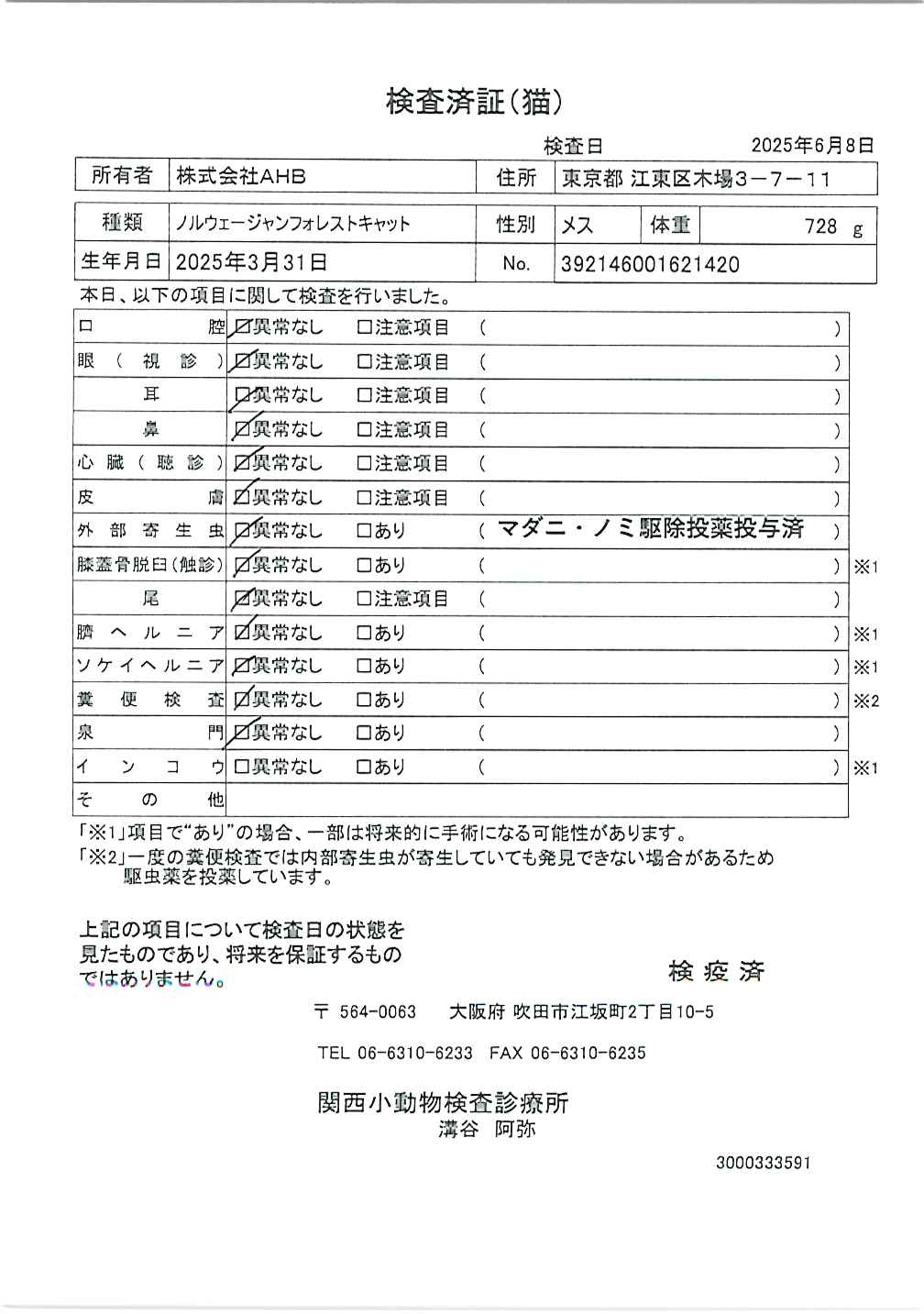 ノルウェージャンフォレストキャット