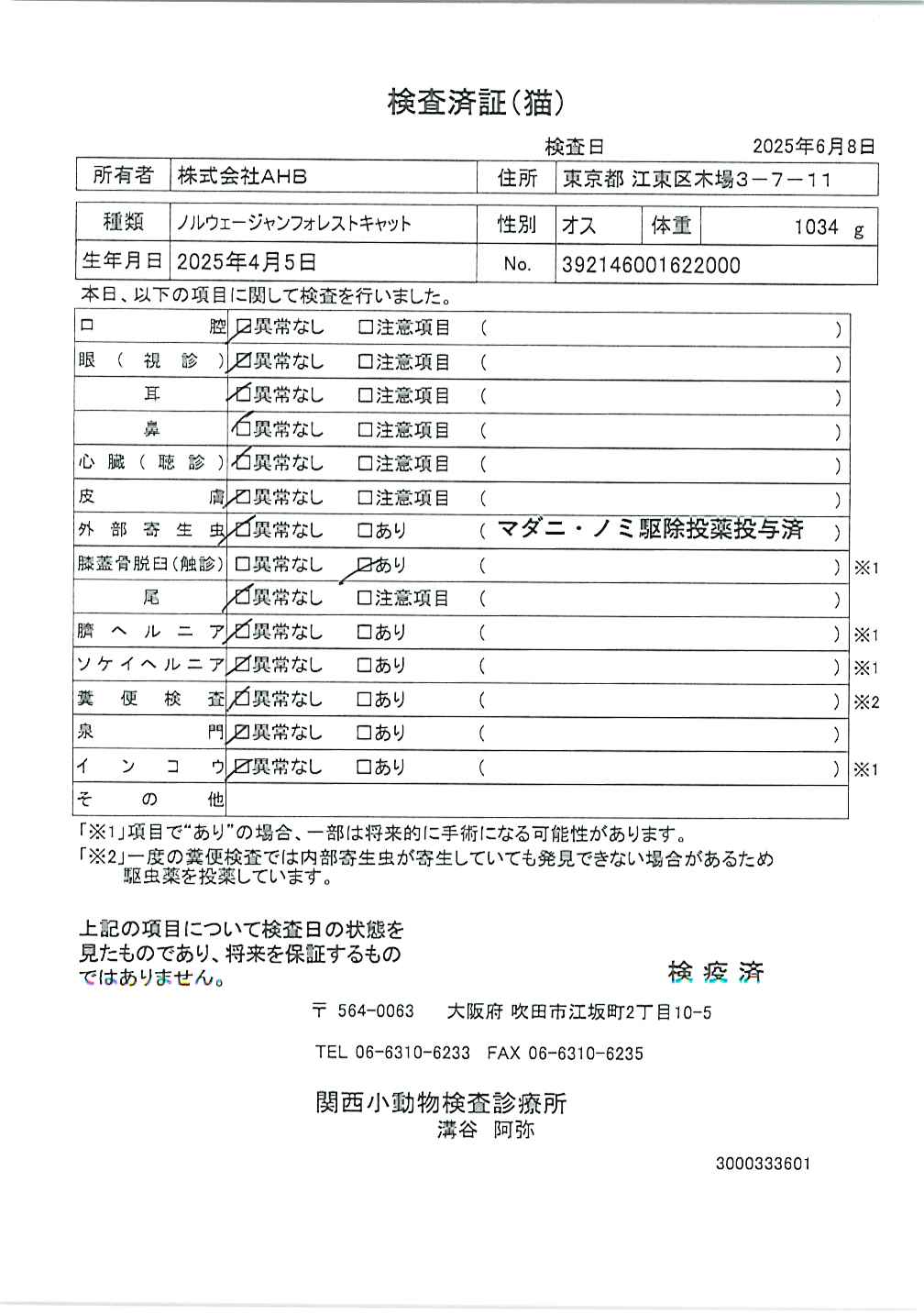 ノルウェージャンフォレストキャット