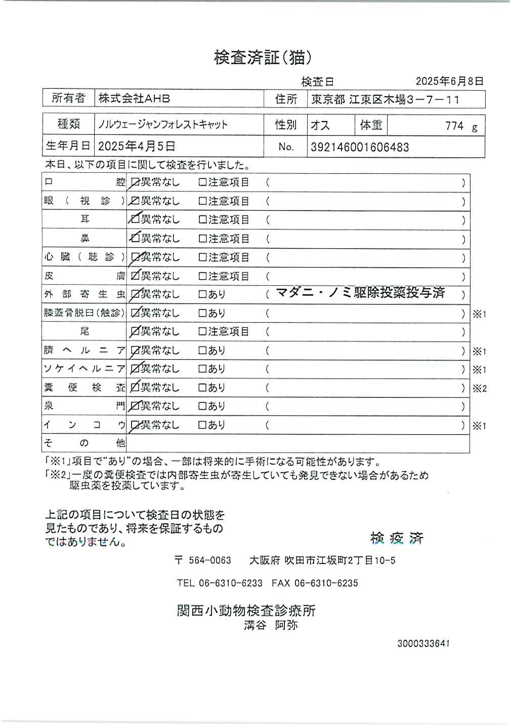 ノルウェージャンフォレストキャット