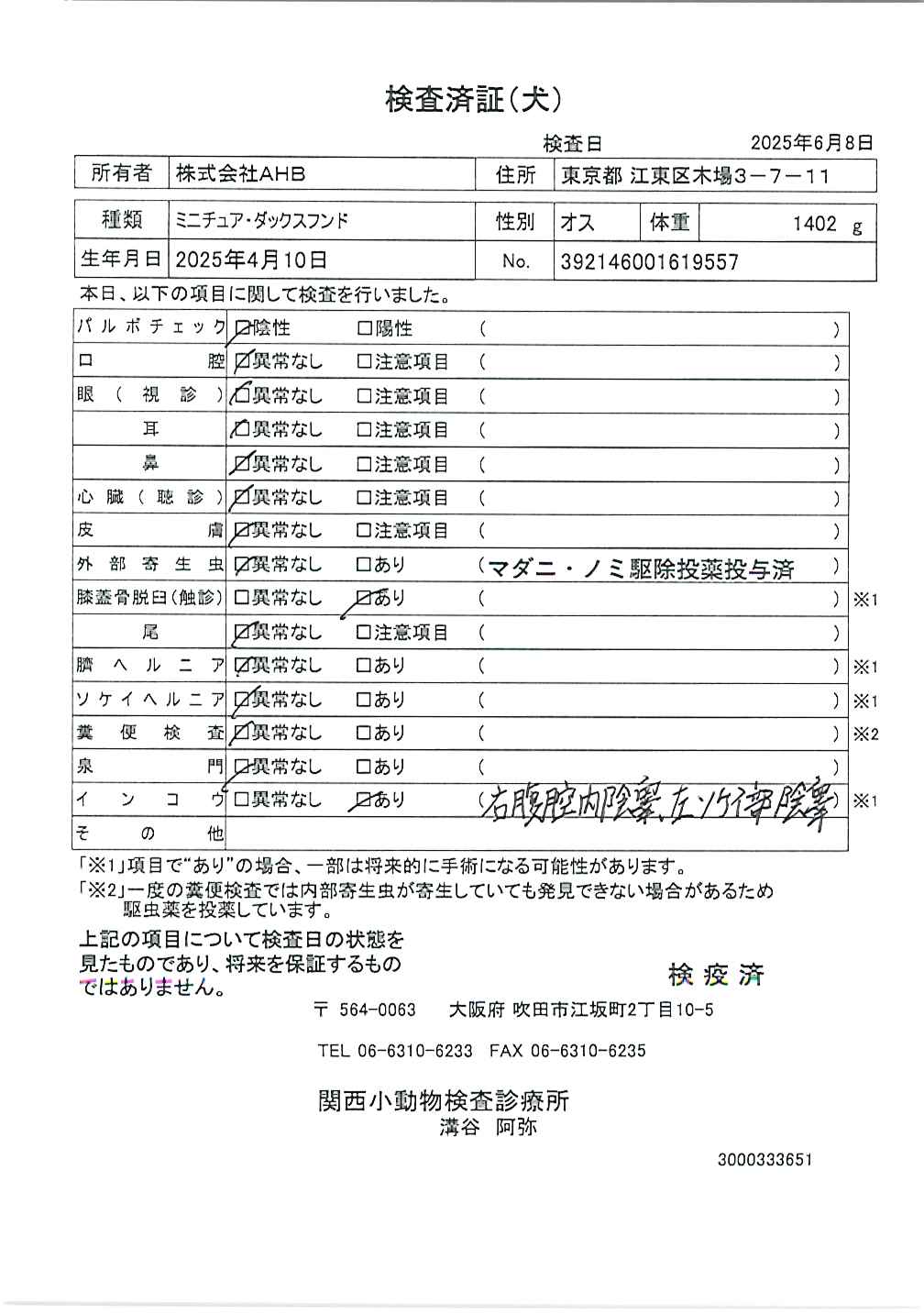ミニチュア・ダックスフンド