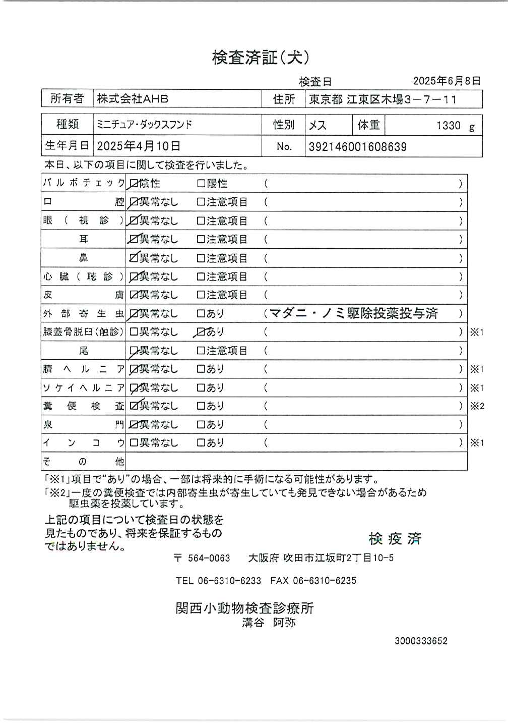 ミニチュア・ダックスフンド