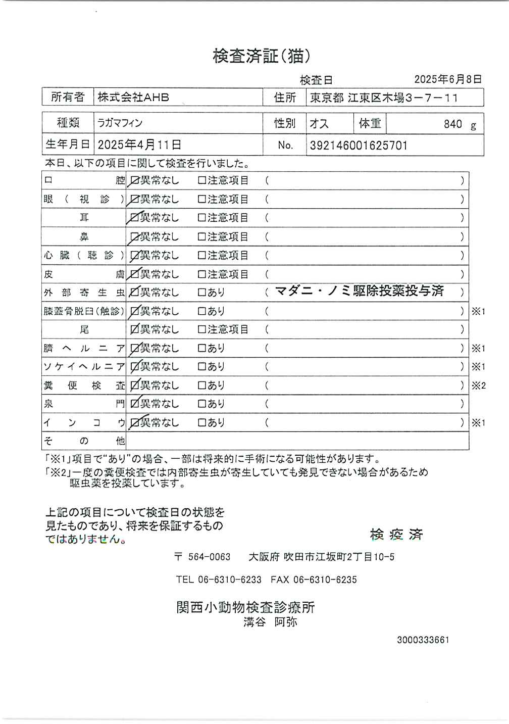 ラガマフィン