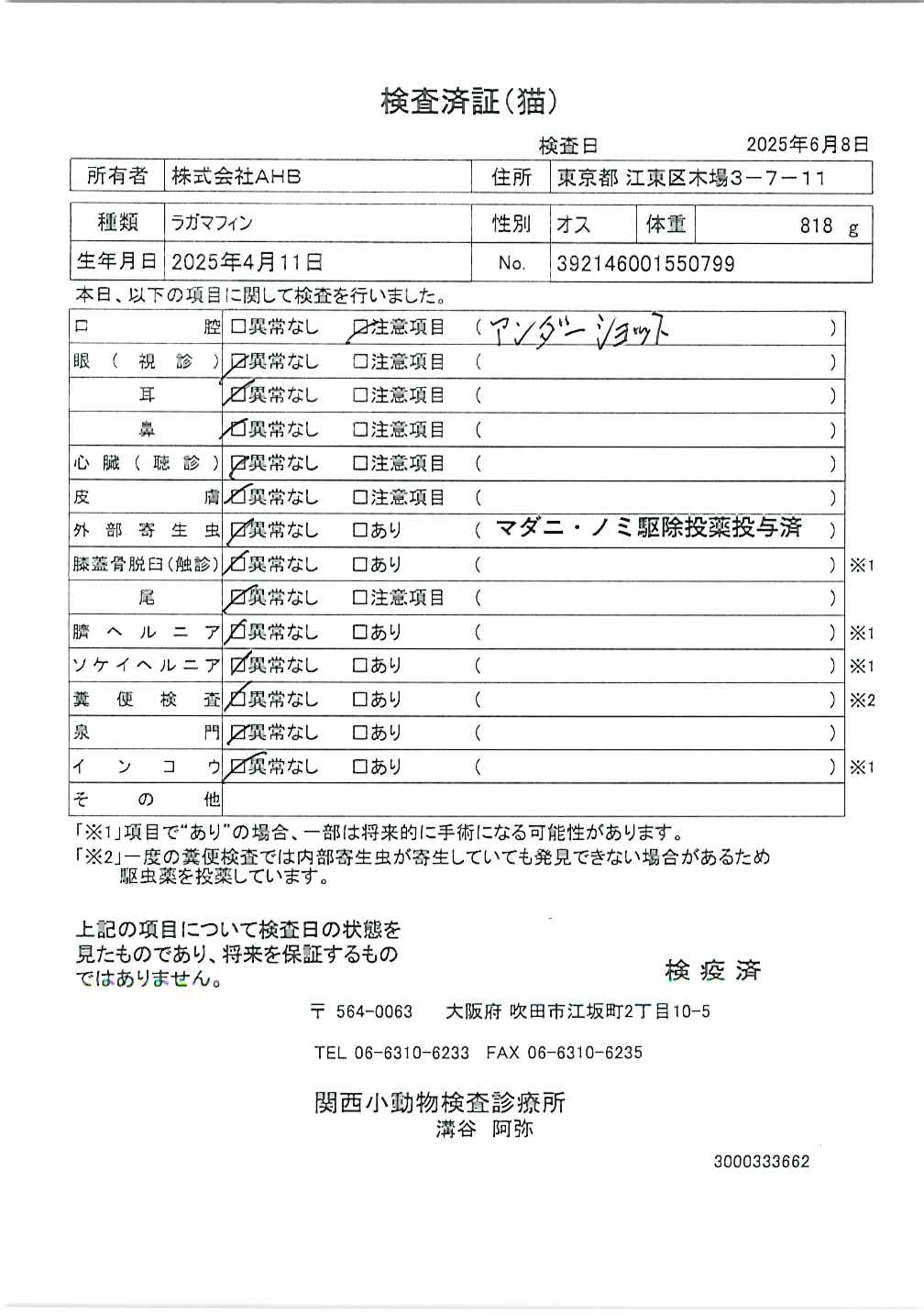 ラガマフィン