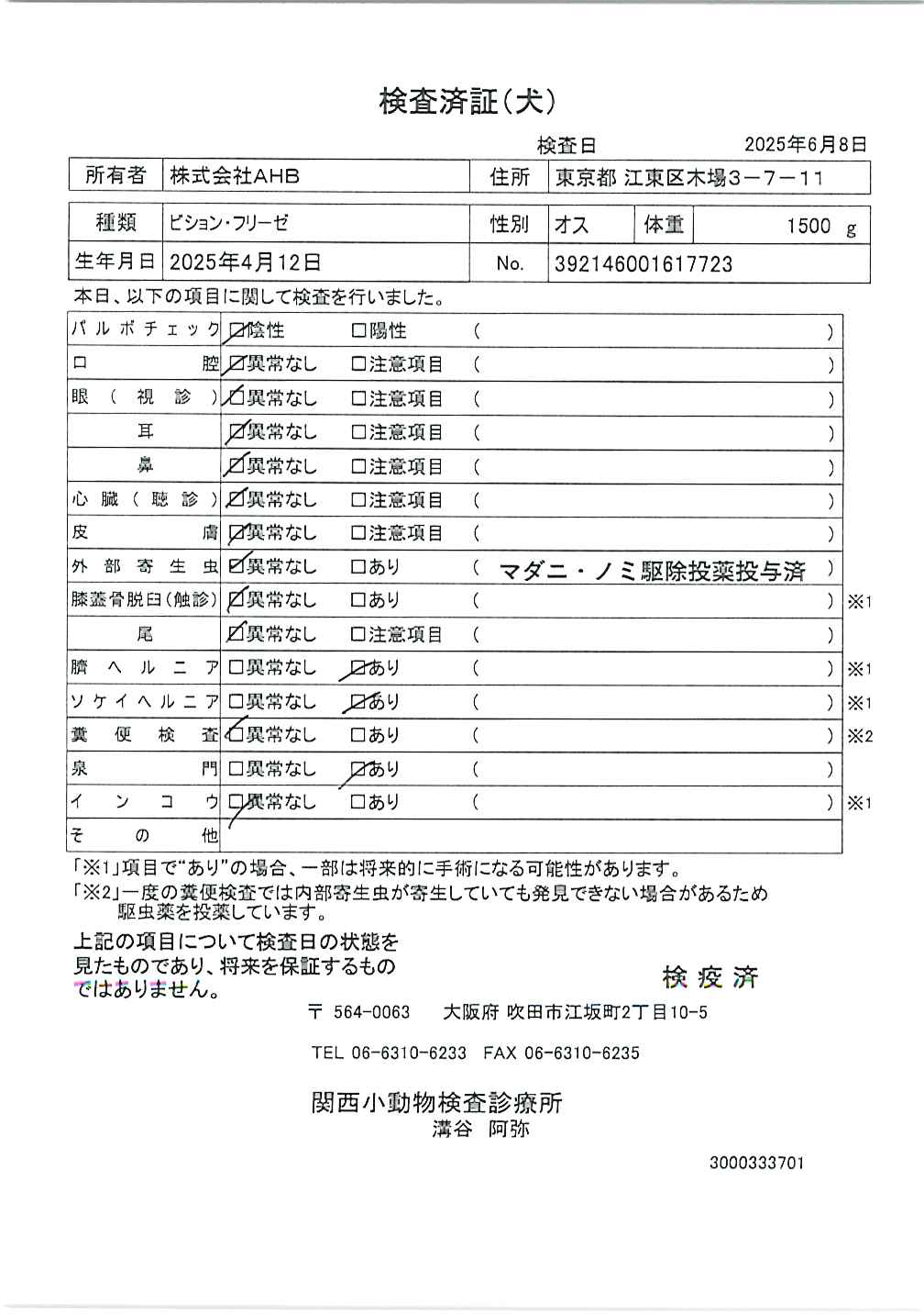 ビション・フリーゼ