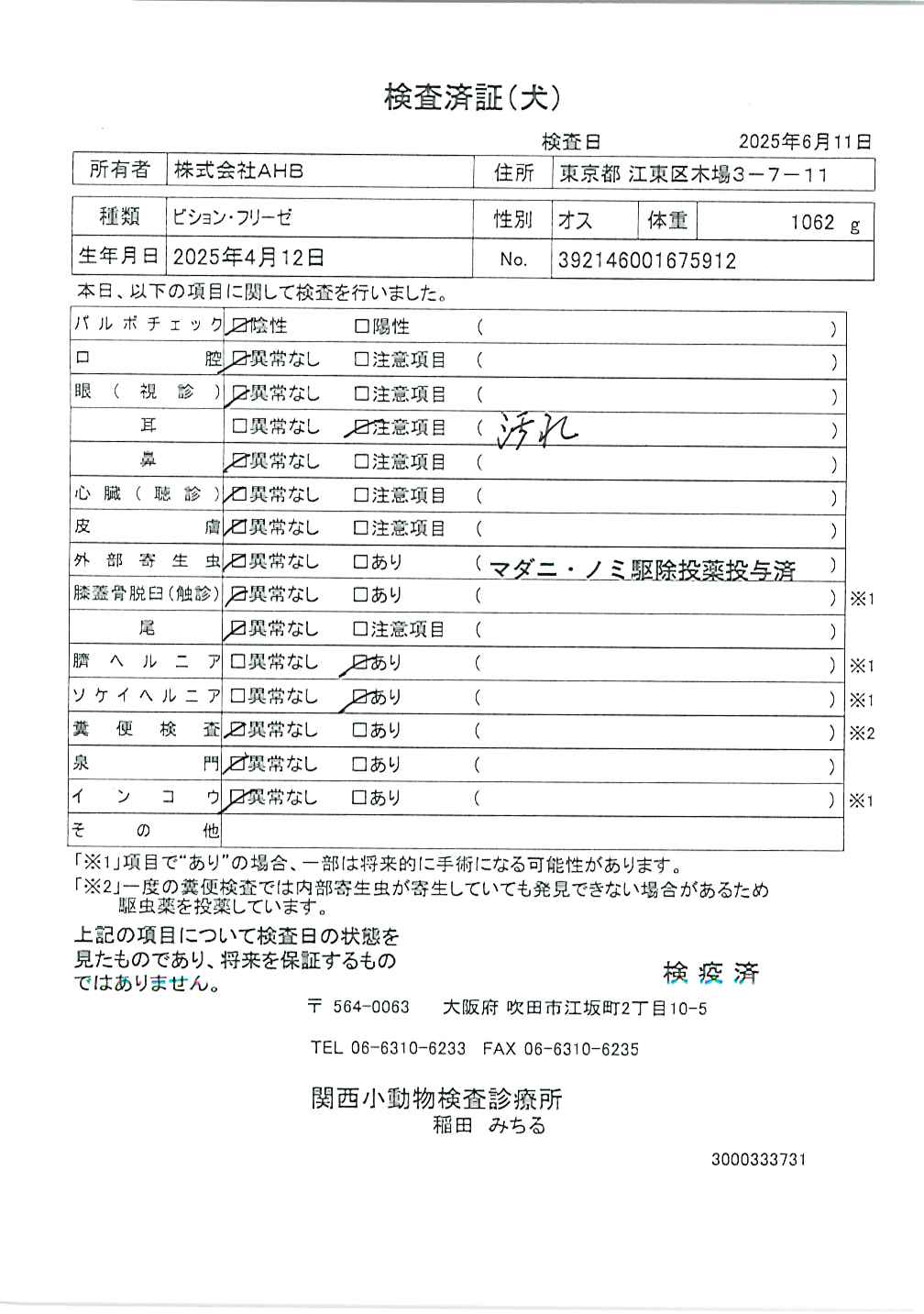 ビション・フリーゼ
