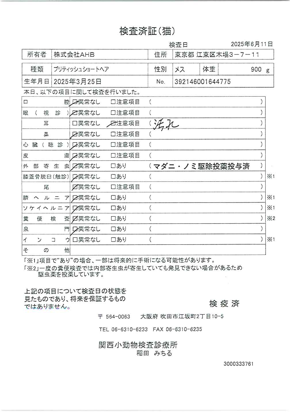 ブリティッシュショートヘア