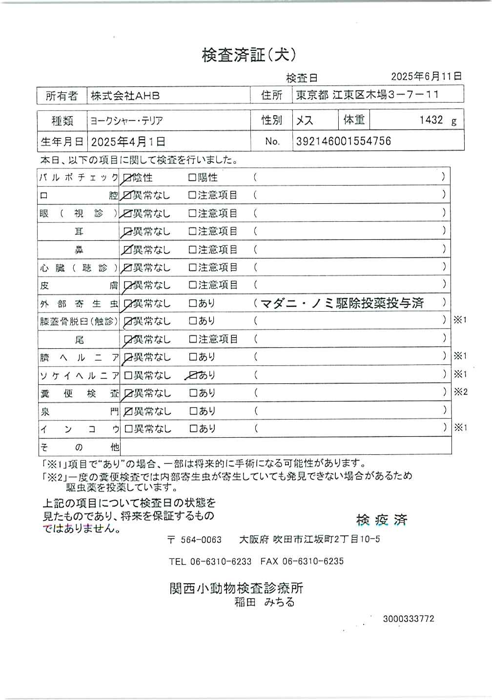 ヨークシャー・テリア