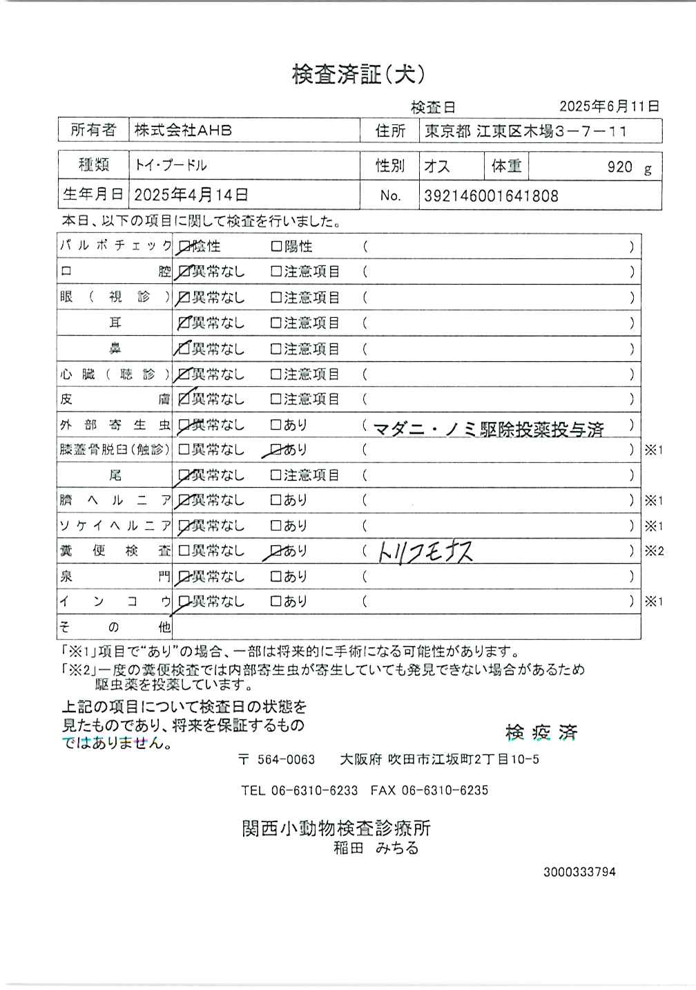 トイ・プードル