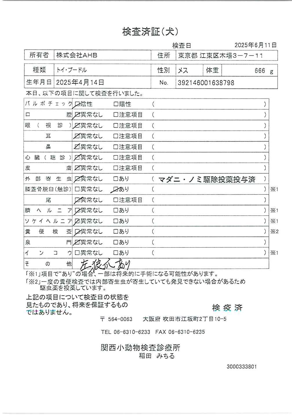 トイ・プードル