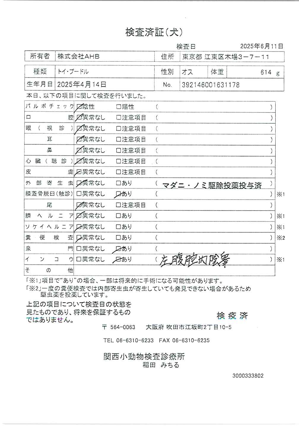 トイ・プードル
