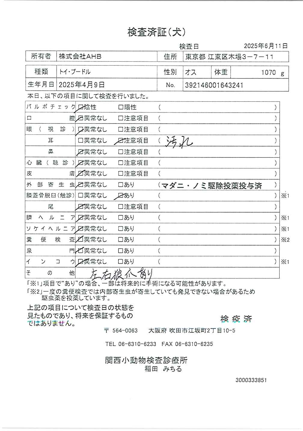 トイ・プードル