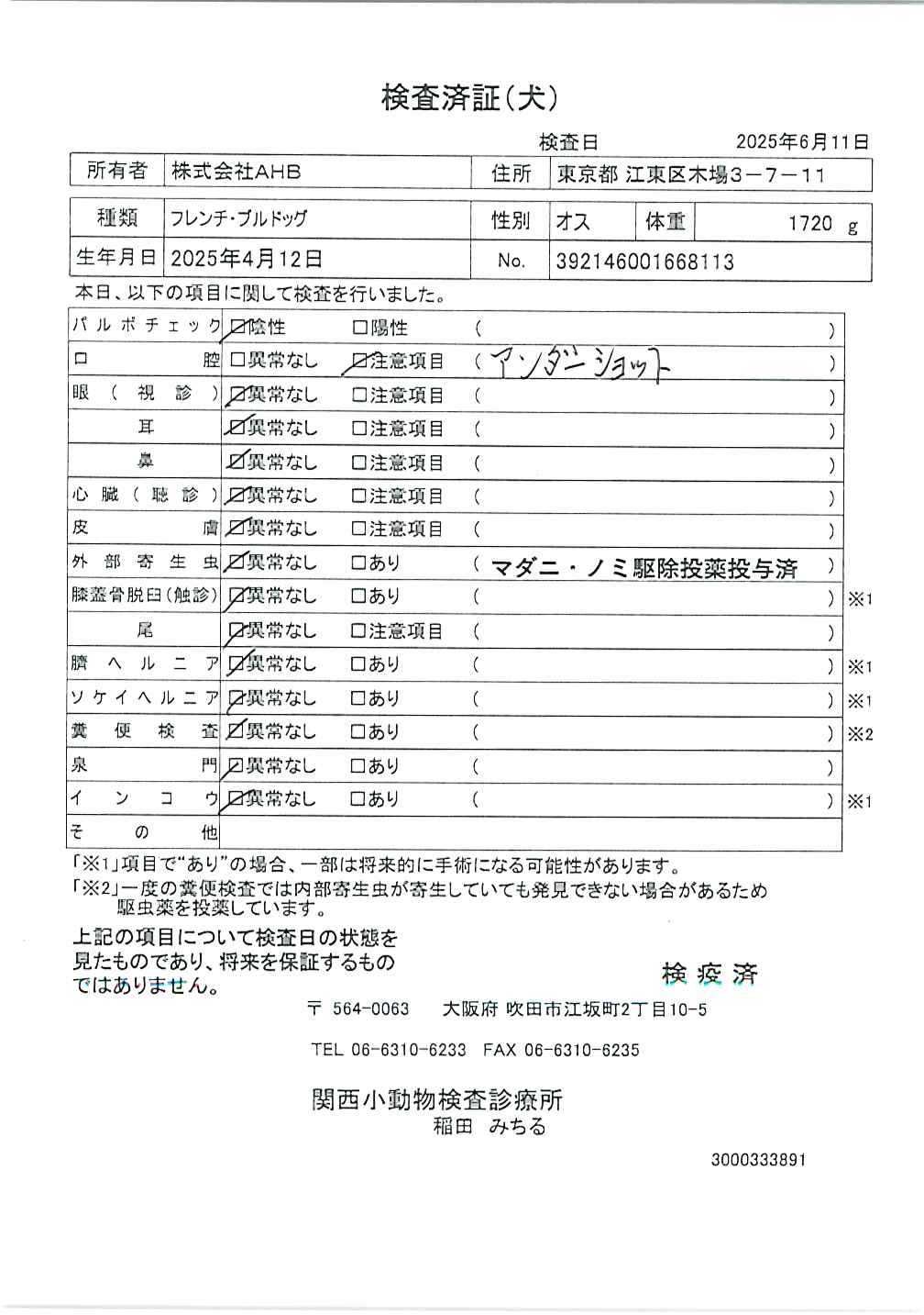 フレンチ・ブルドッグ