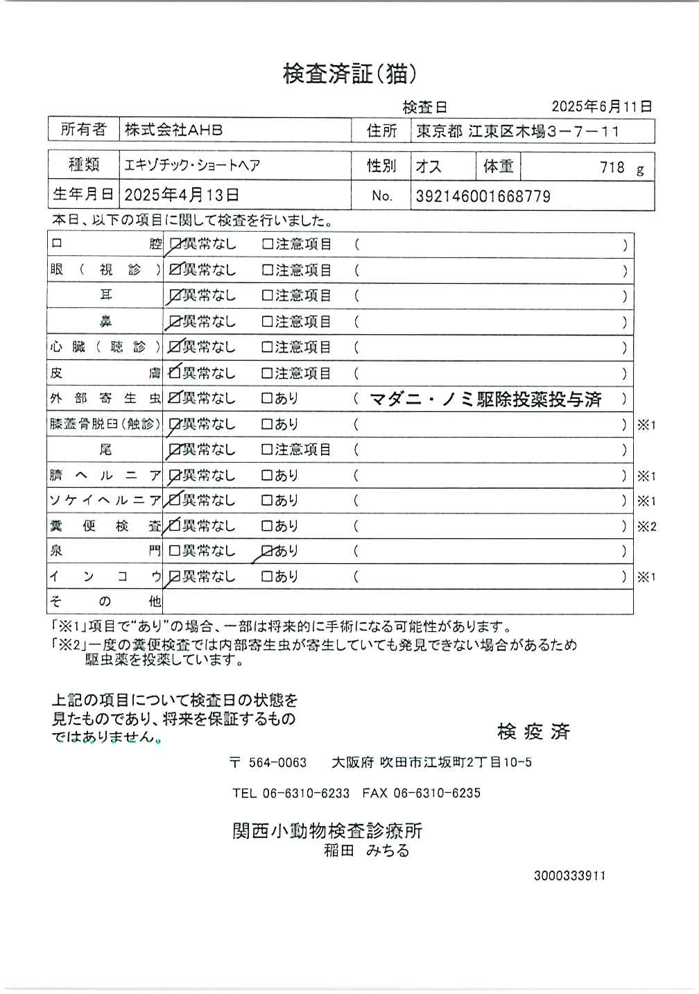 エキゾチック・ショートヘア