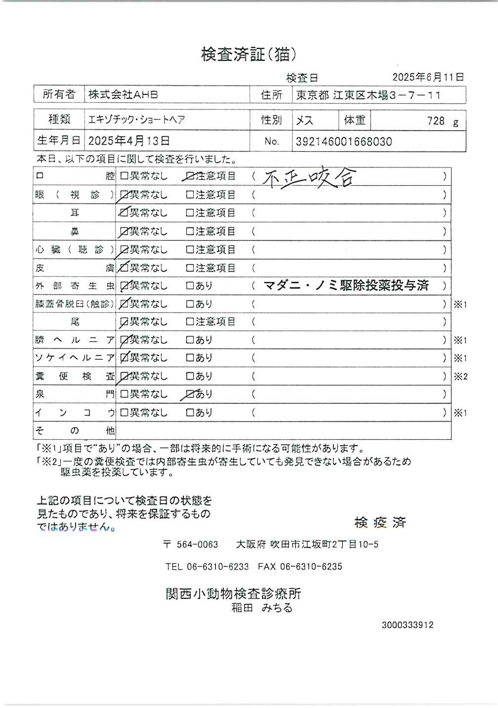 エキゾチック・ショートヘア