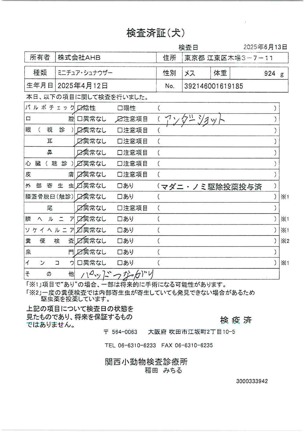 ミニチュア・シュナウザー