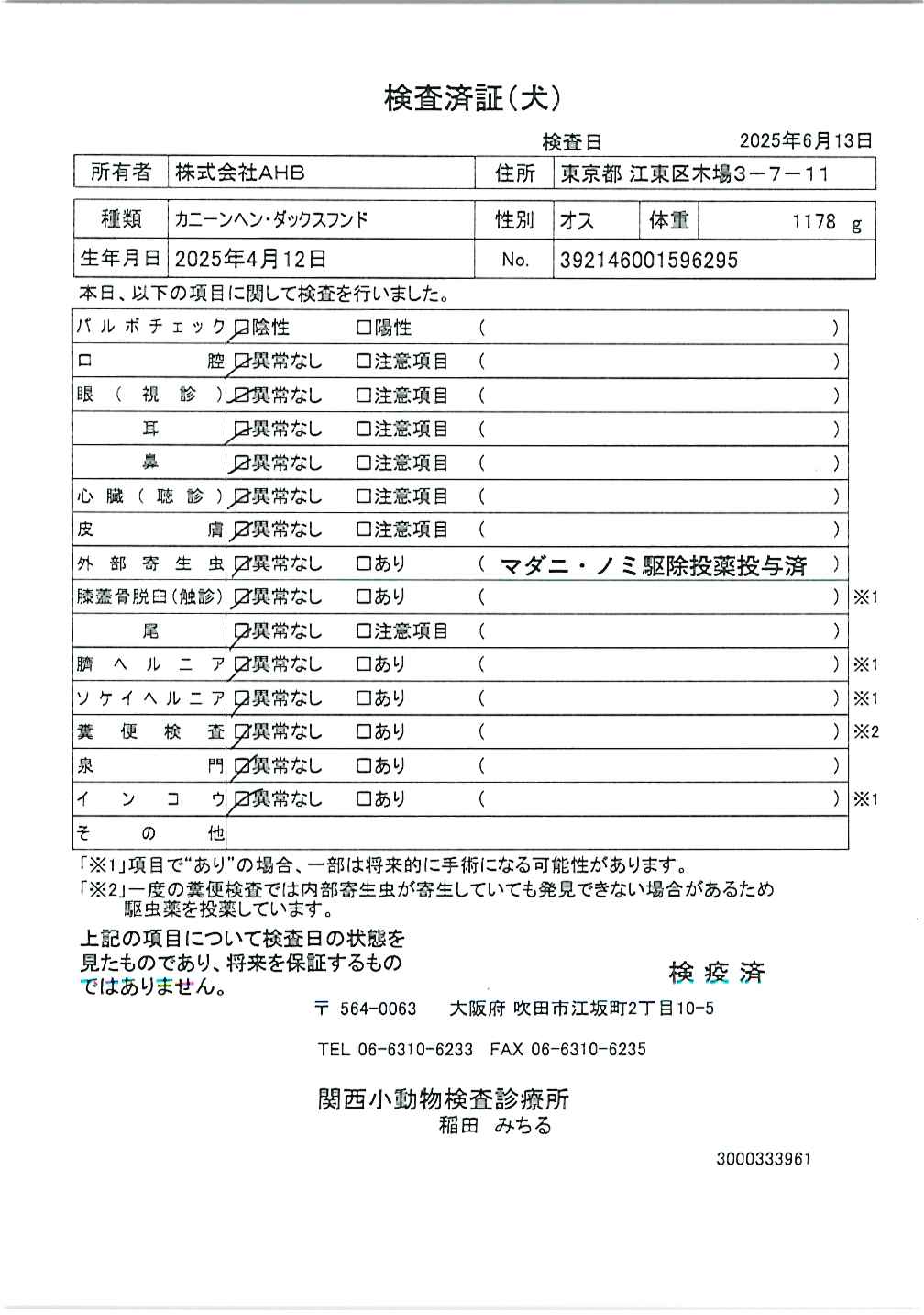 カニーンヘン・ダックスフンド