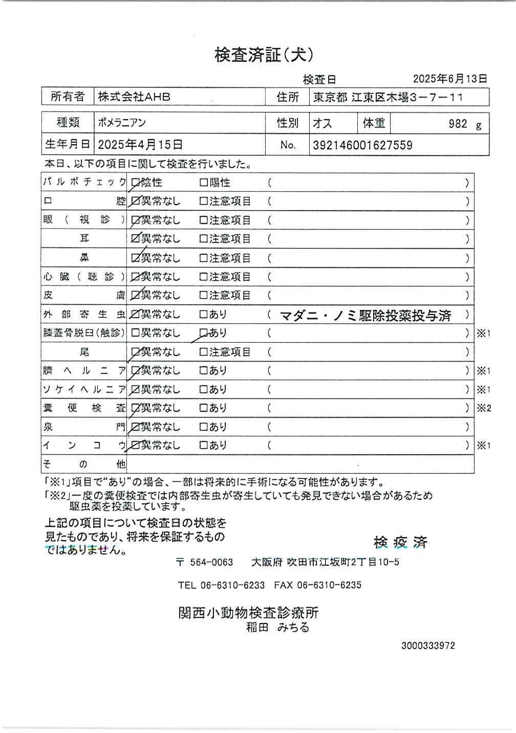 ポメラニアン