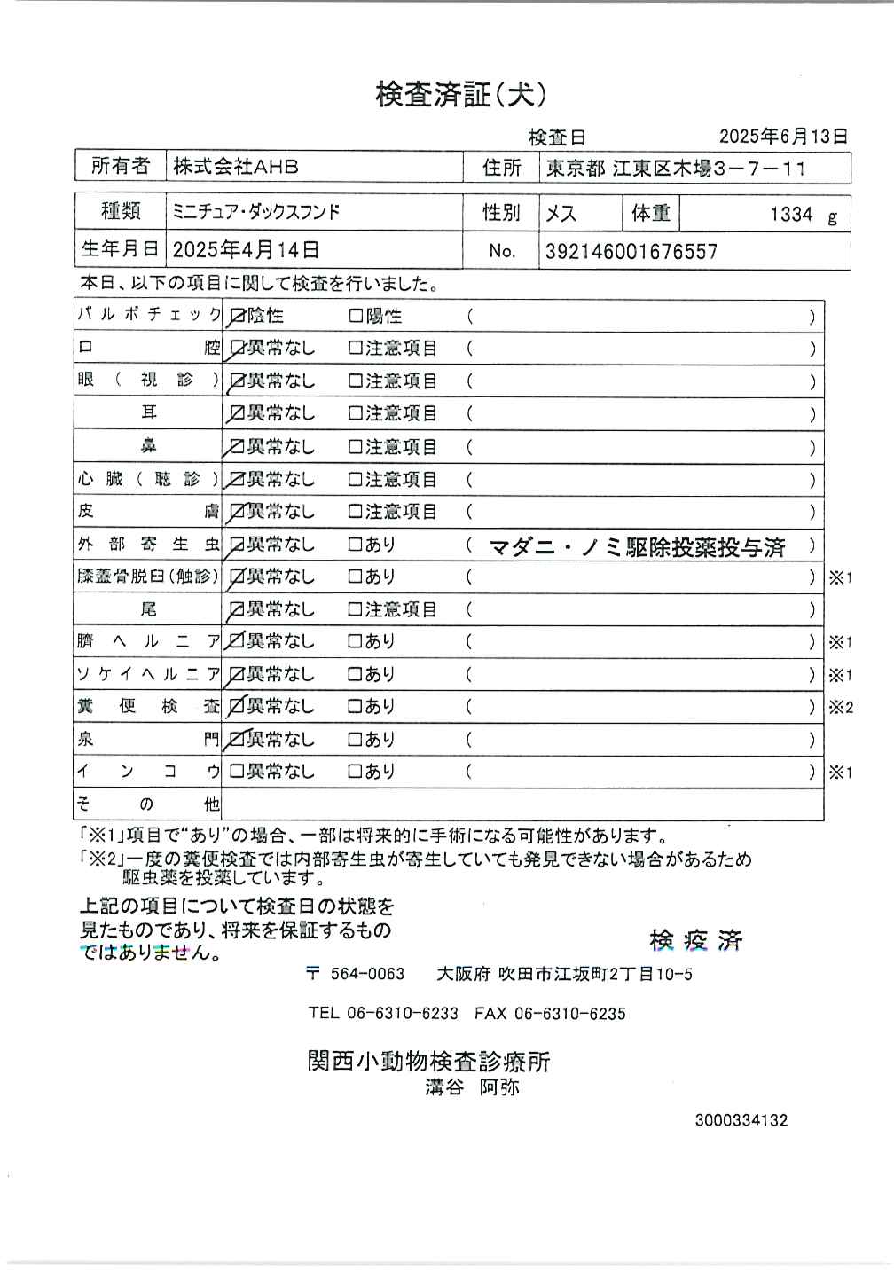 ミニチュア・ダックスフンド