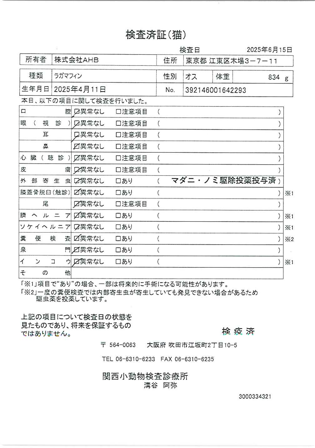 ラガマフィン