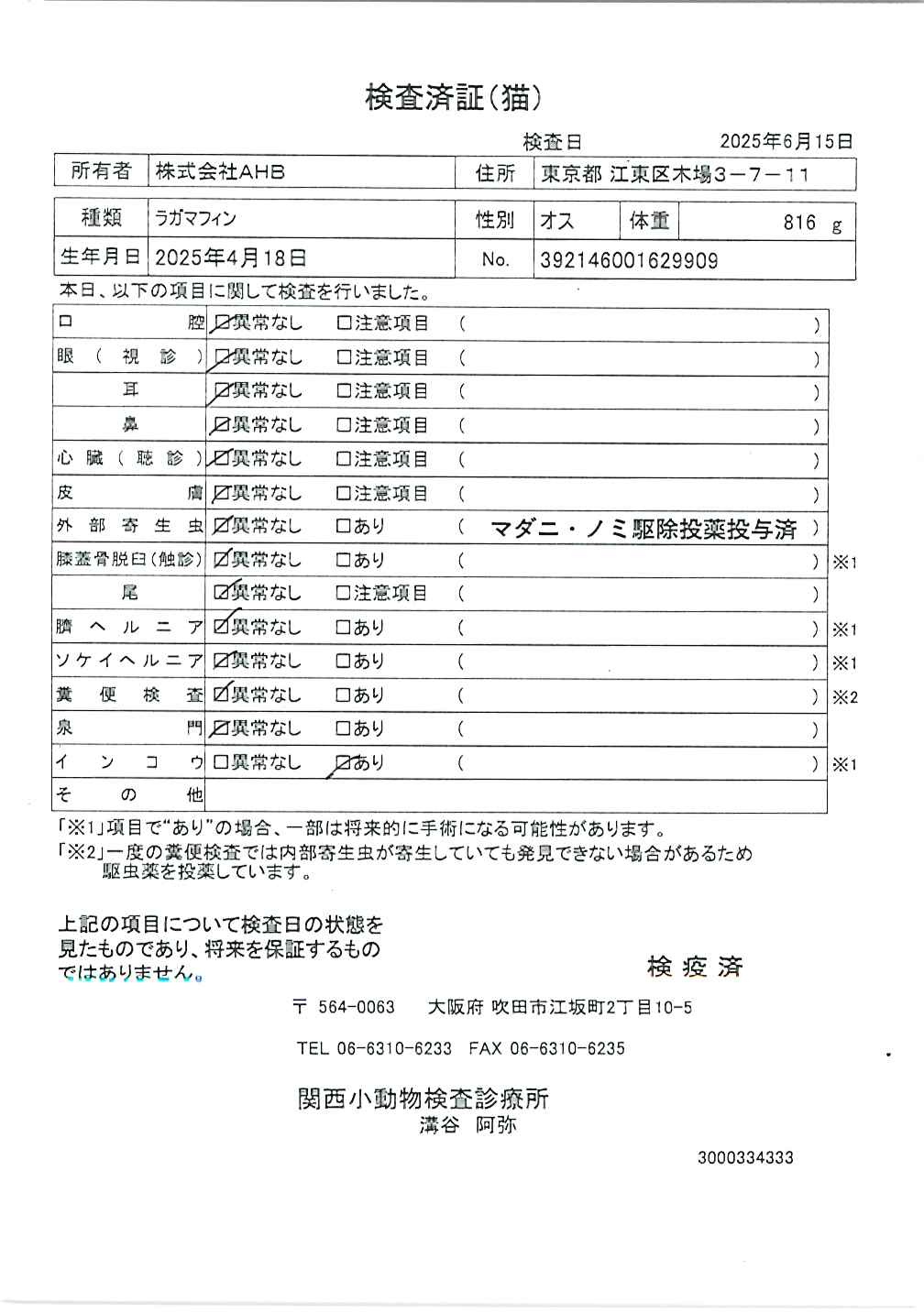 ラガマフィン