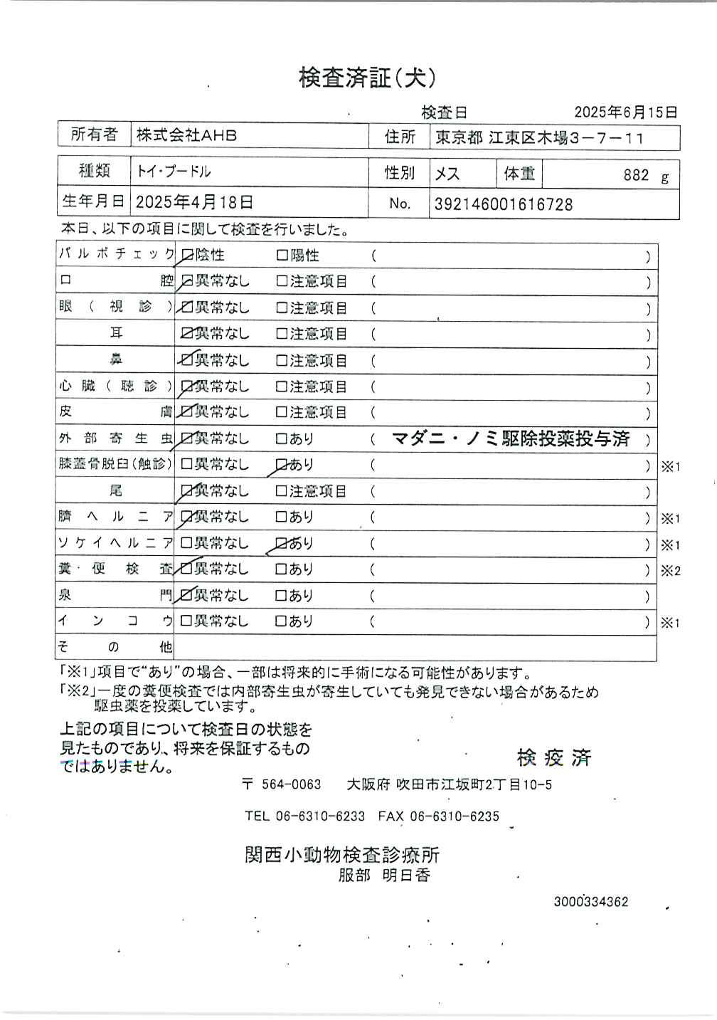 トイ・プードル