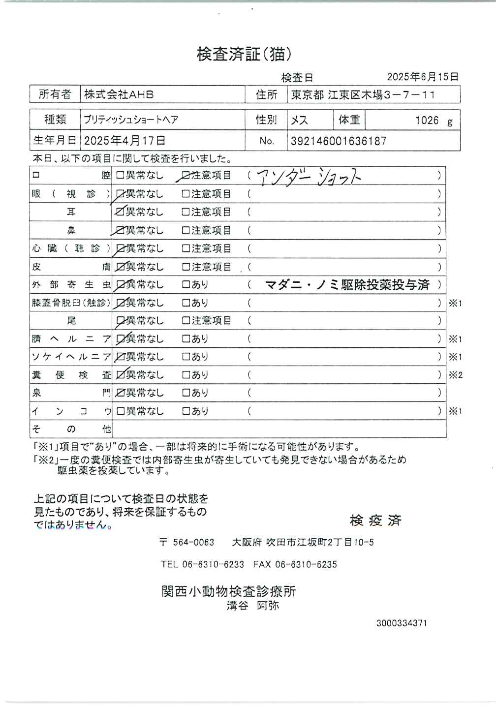 ブリティッシュショートヘア