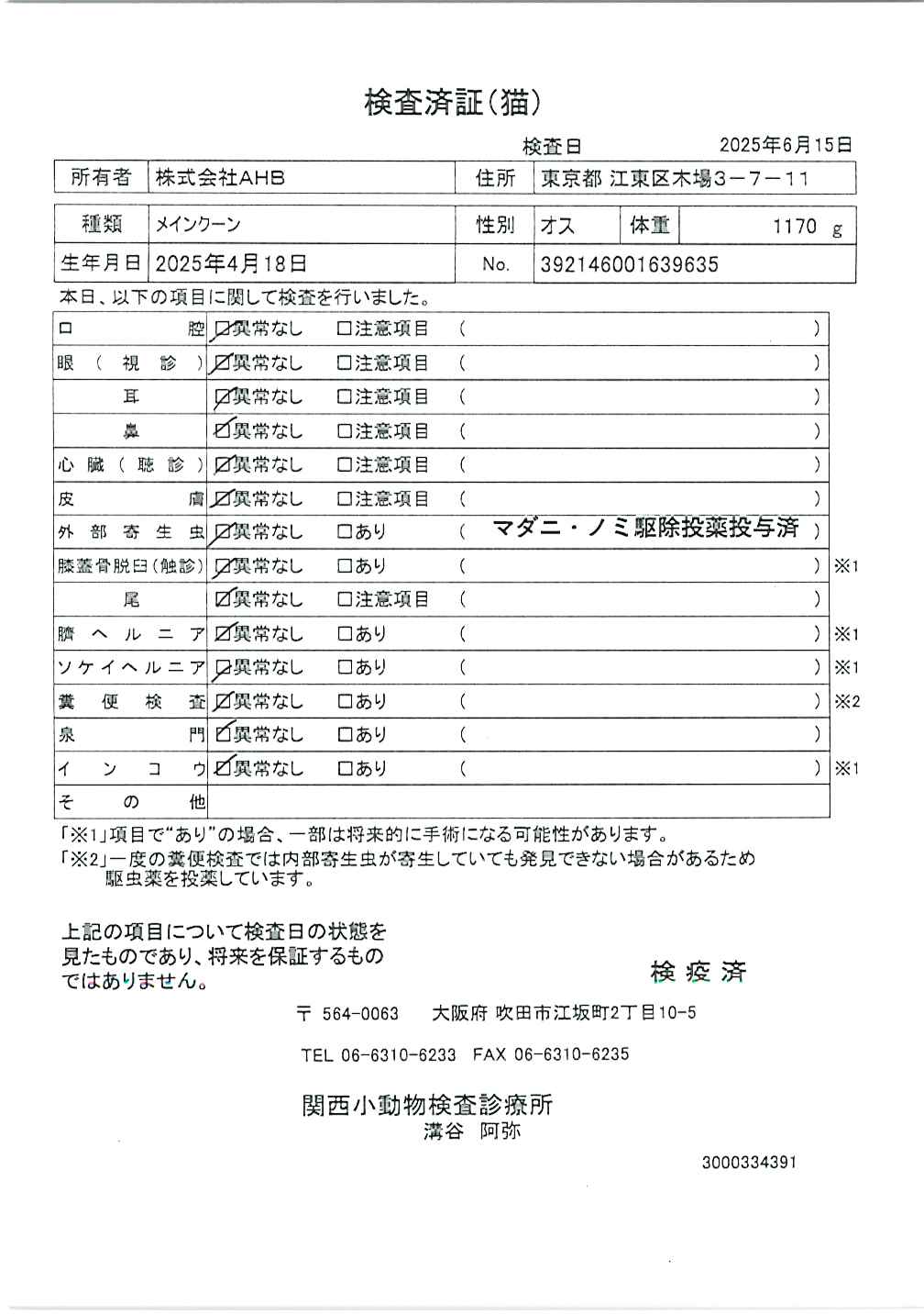 メインクーン