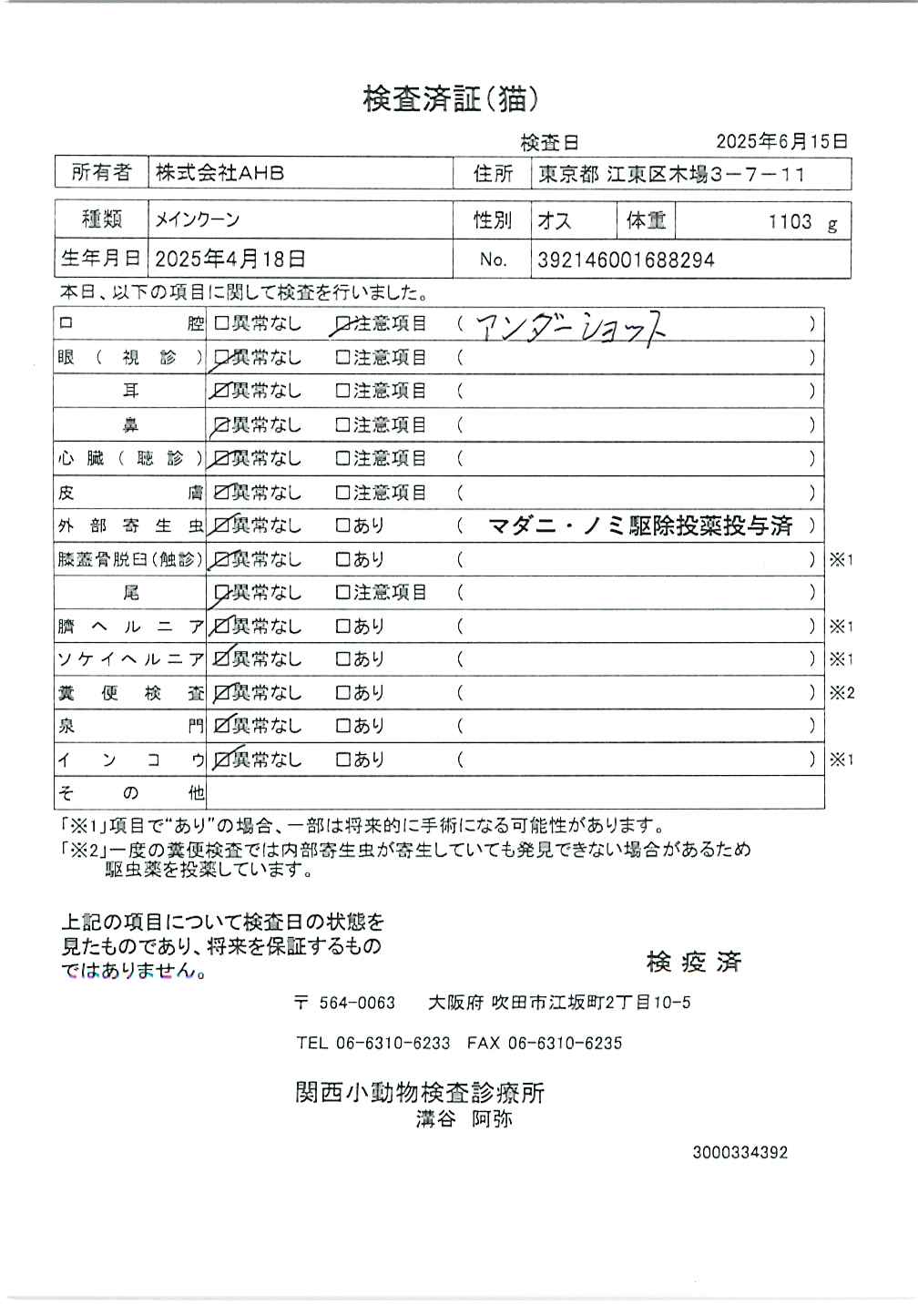 メインクーン