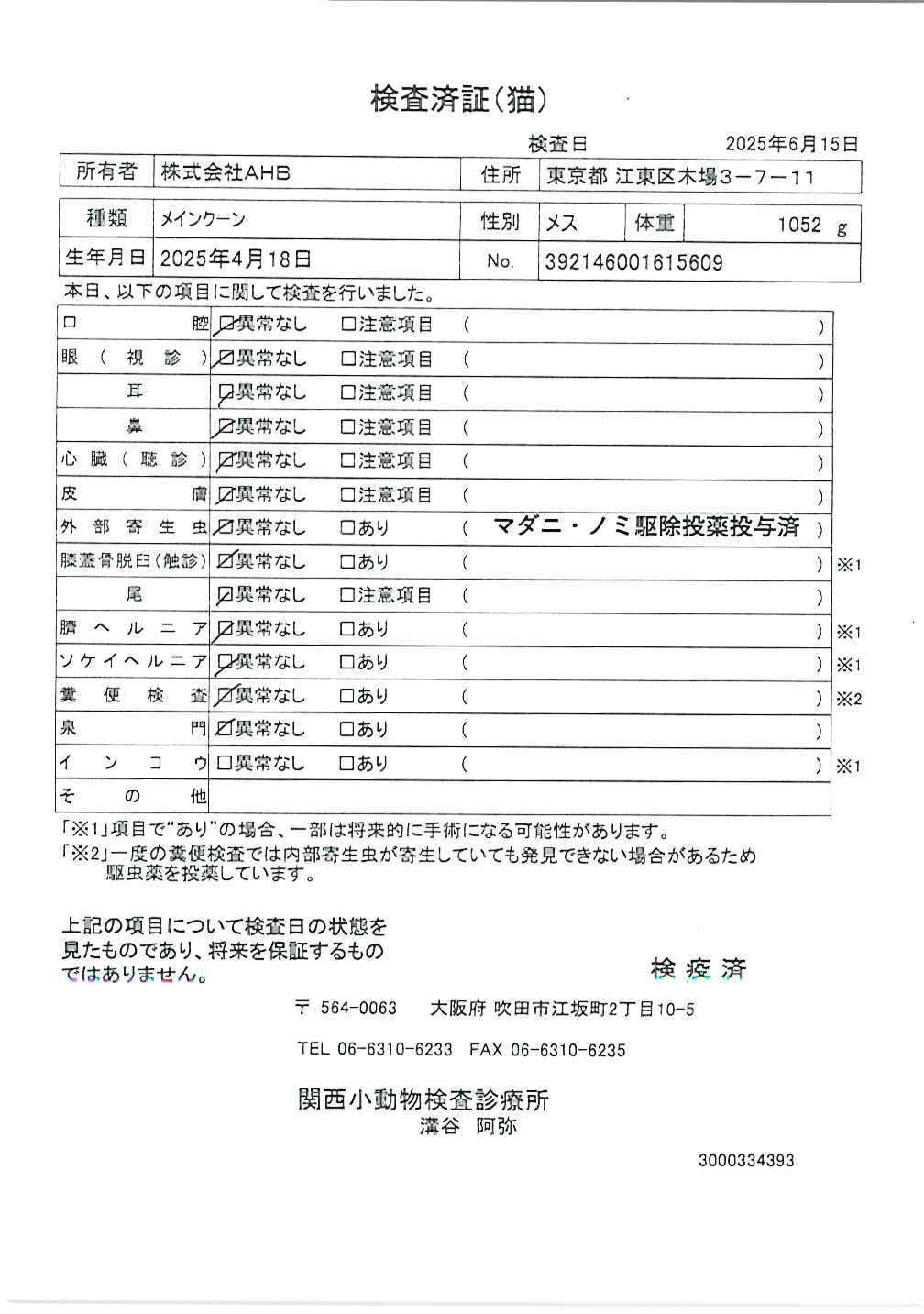 メインクーン
