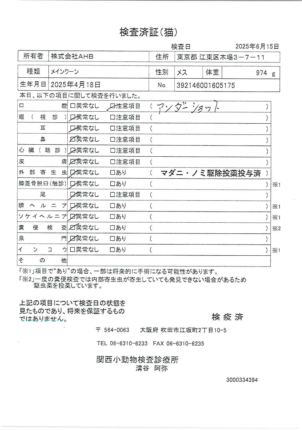メインクーン