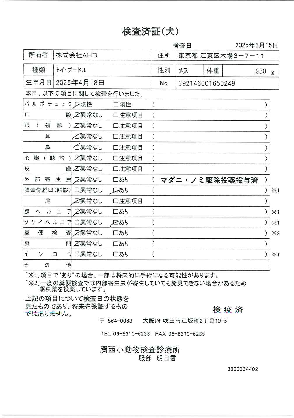 トイ・プードル