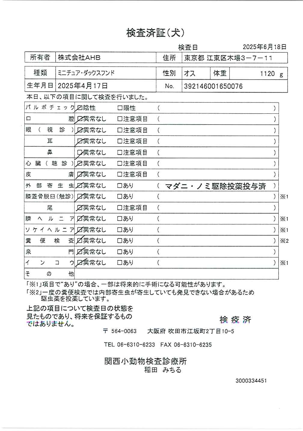 ミニチュア・ダックスフンド