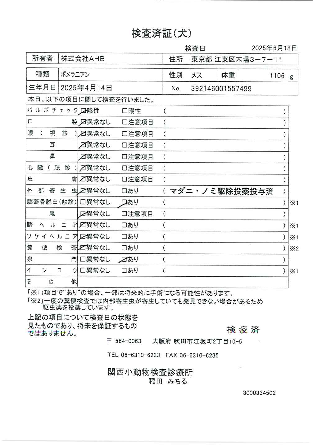 ポメラニアン