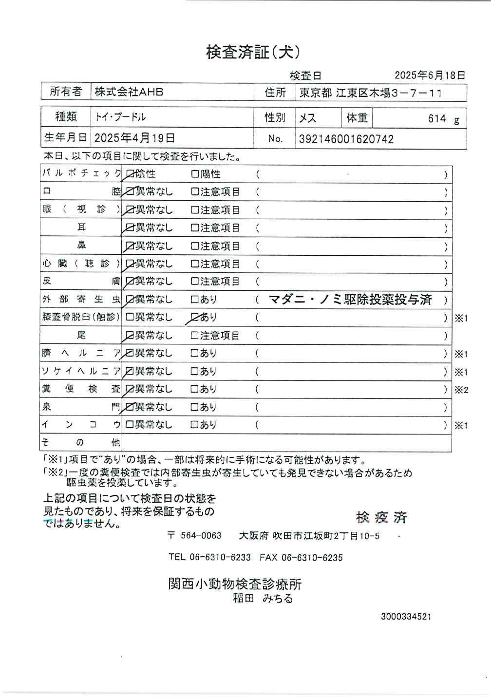 トイ・プードル