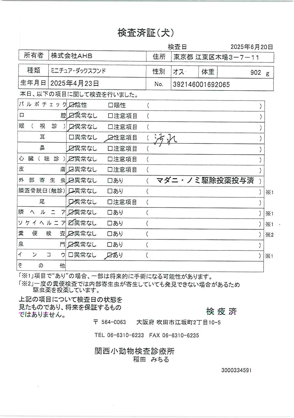 ミニチュア・ダックスフンド