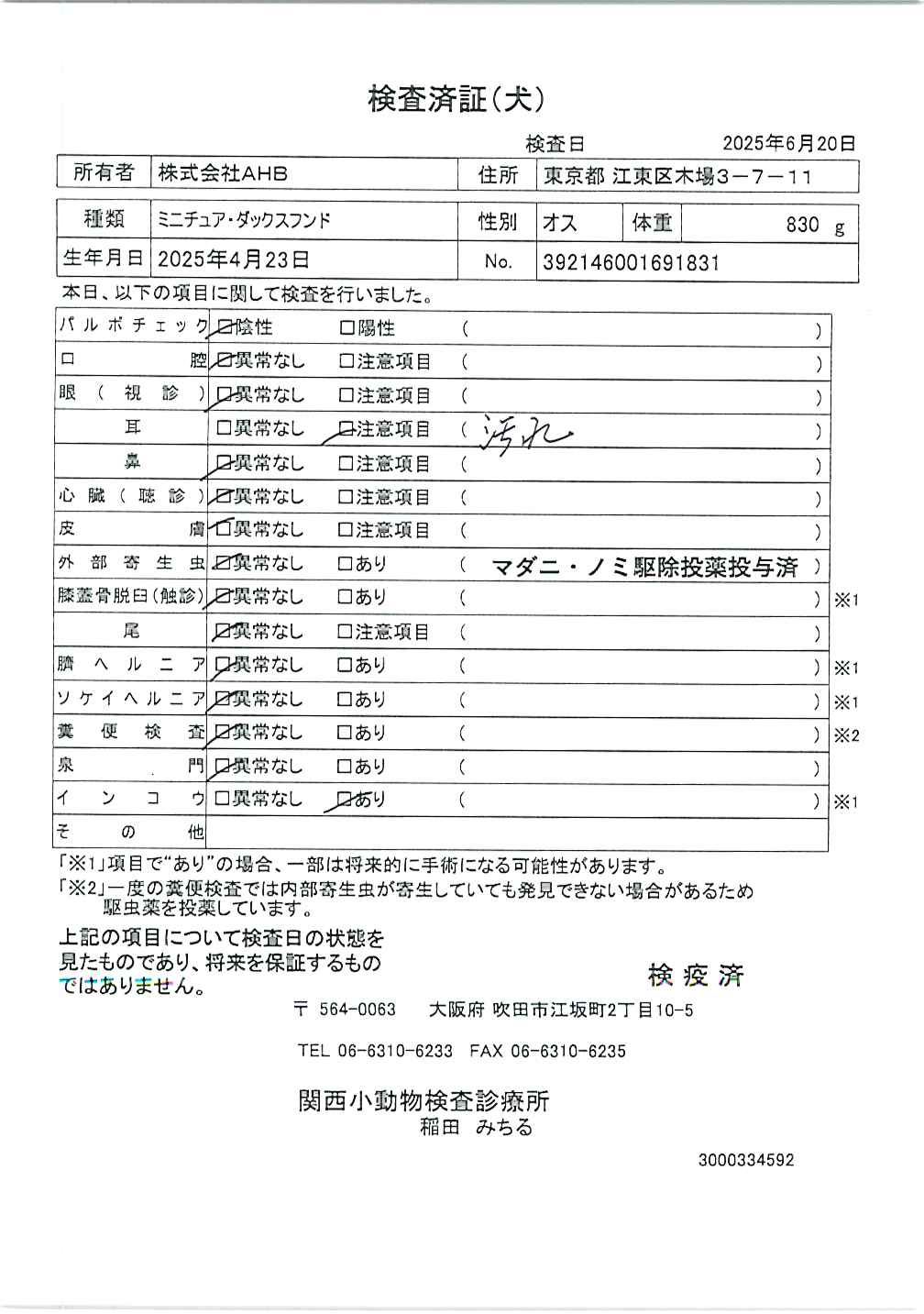 ミニチュア・ダックスフンド