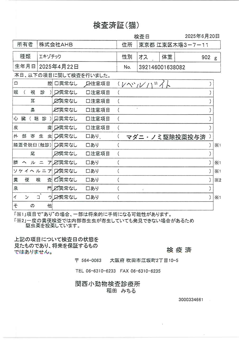 エキゾチック