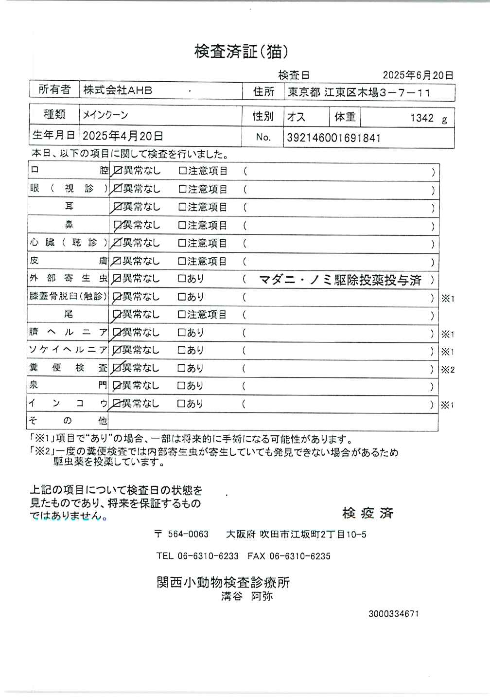 メインクーン