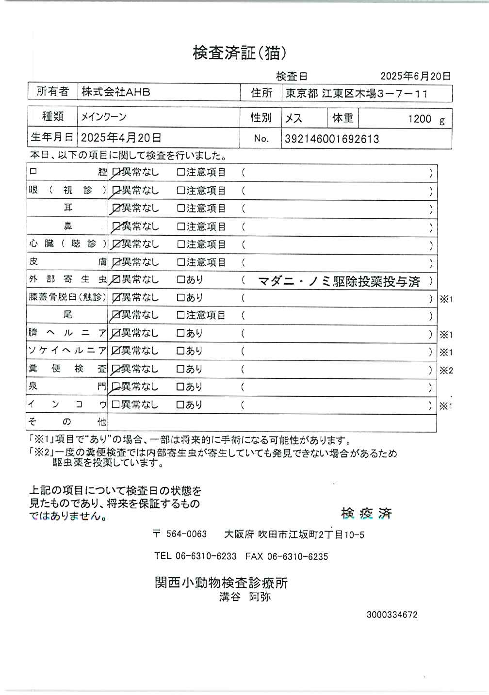 メインクーン