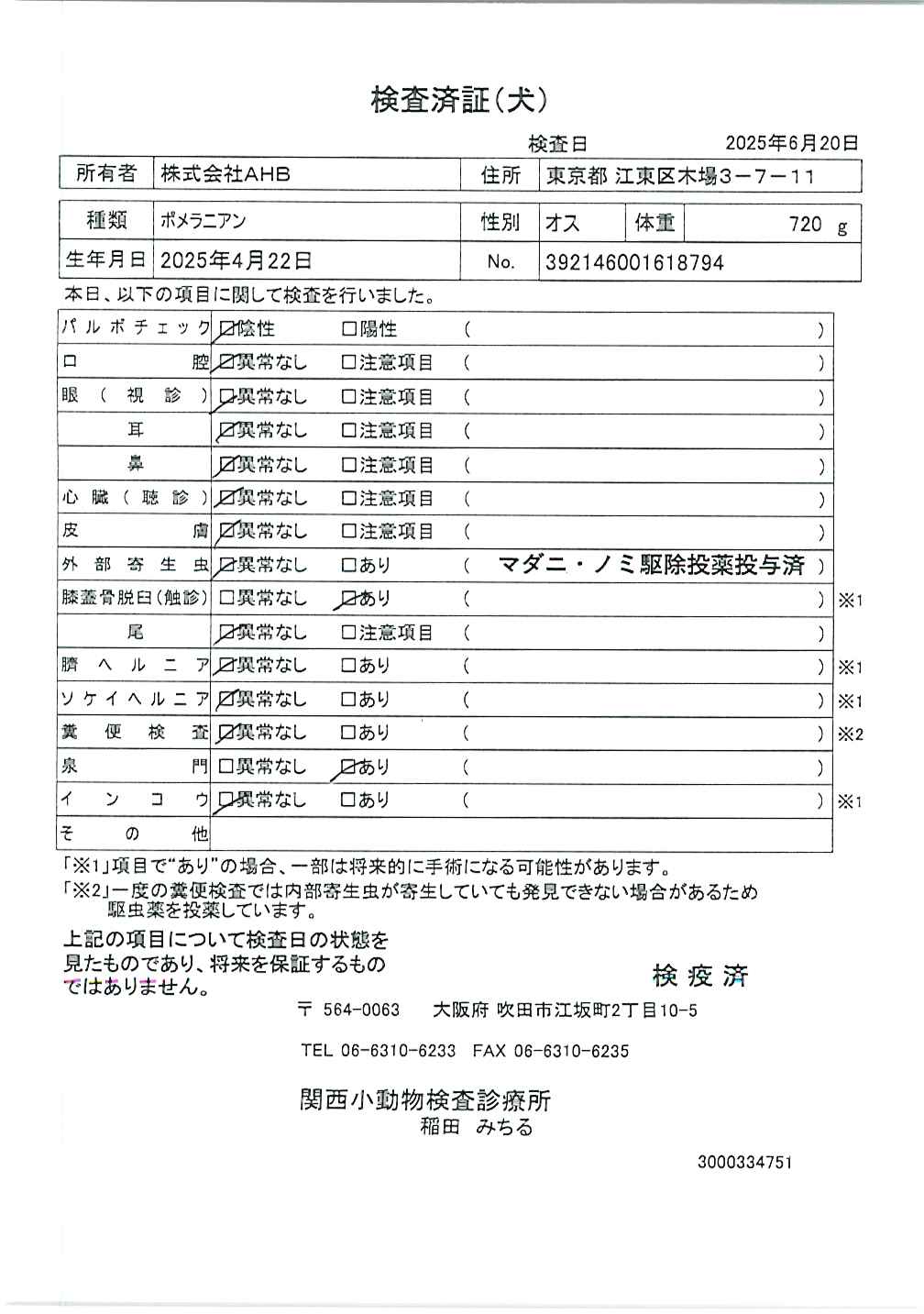 ポメラニアン