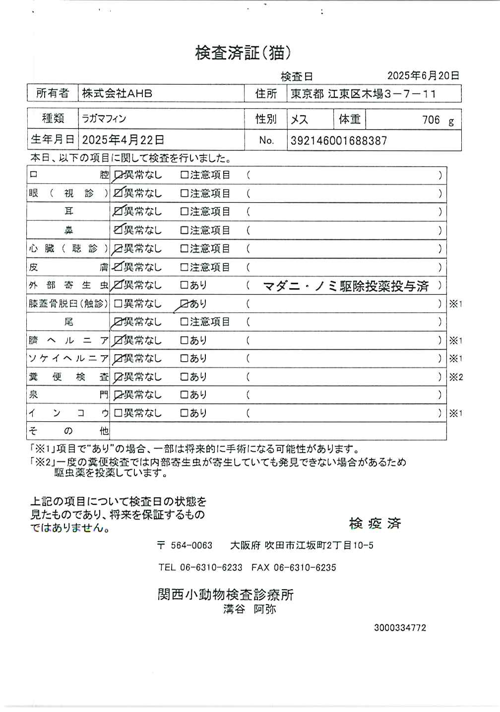 ラガマフィン