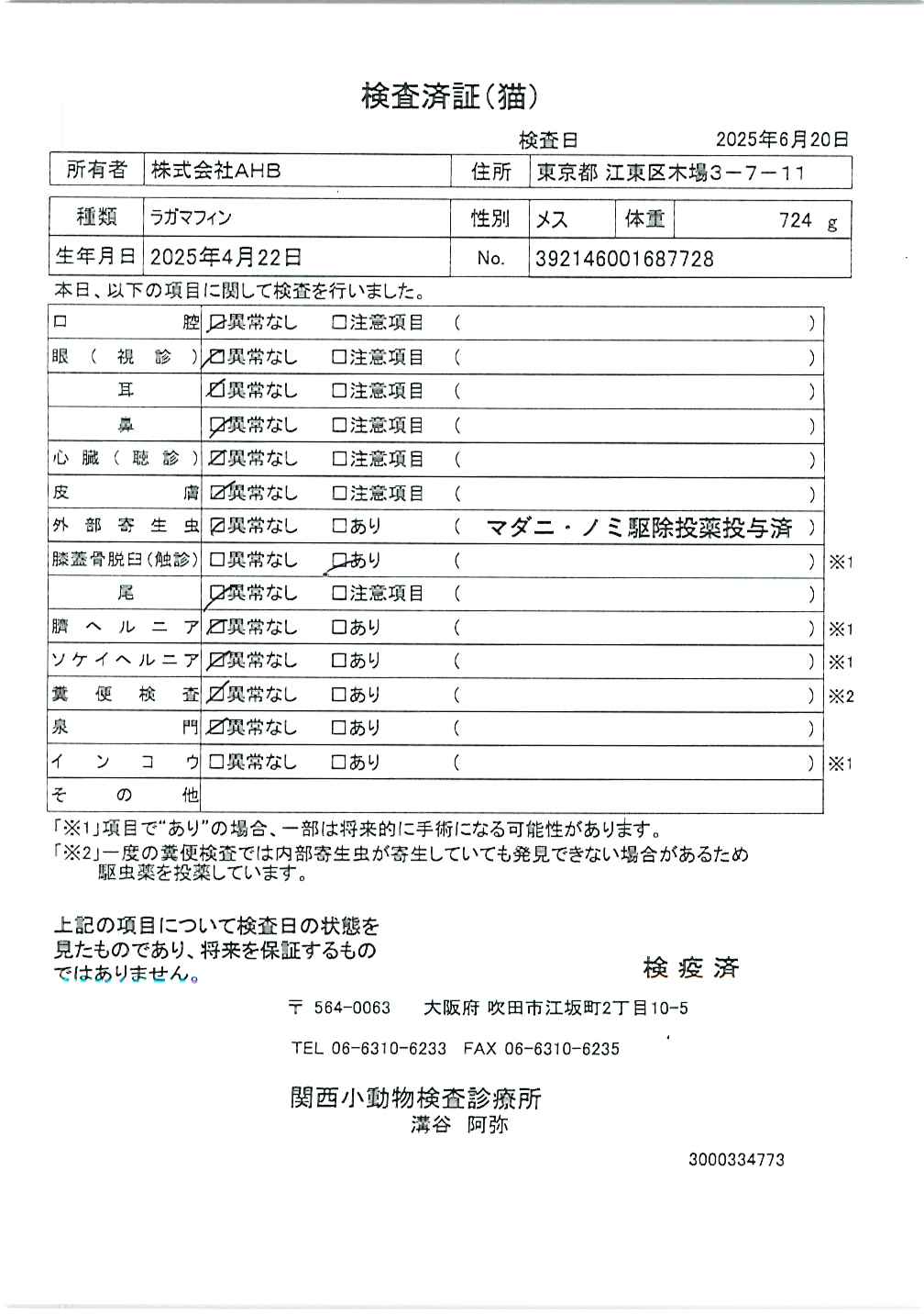ラガマフィン