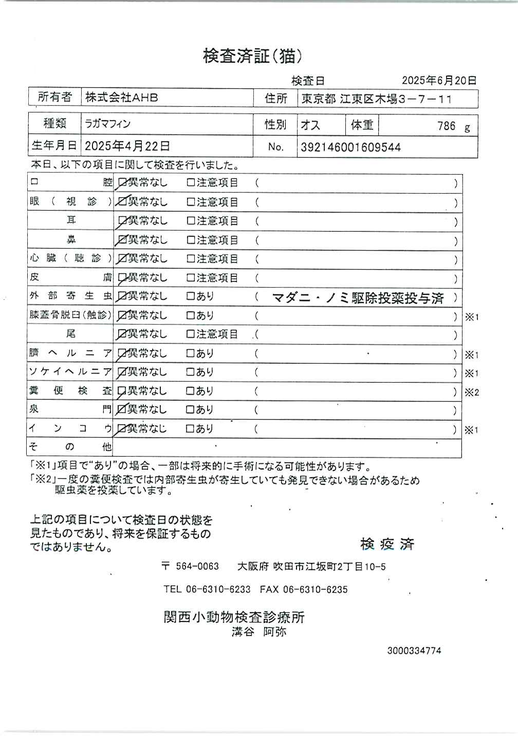 ラガマフィン