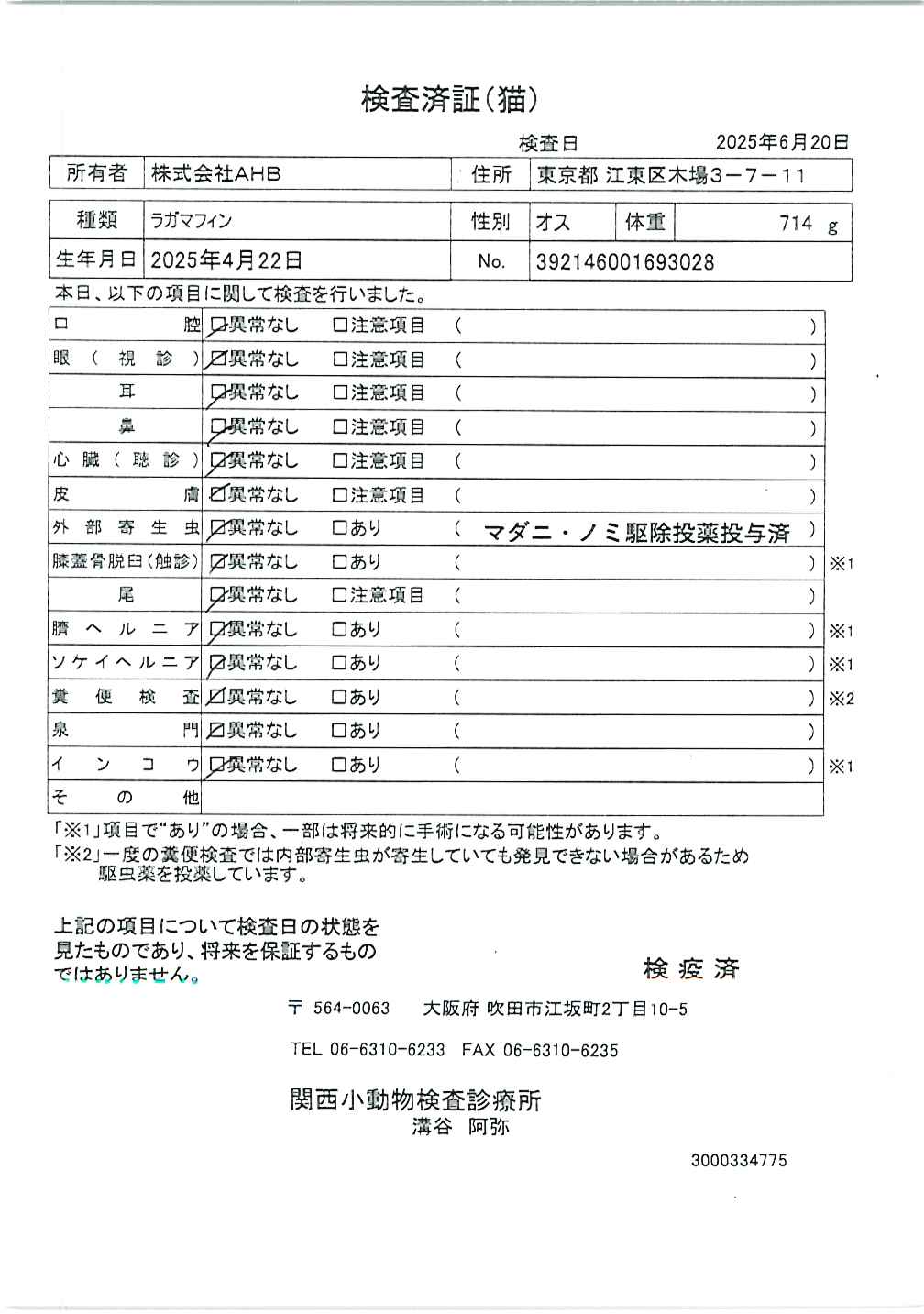 ラガマフィン