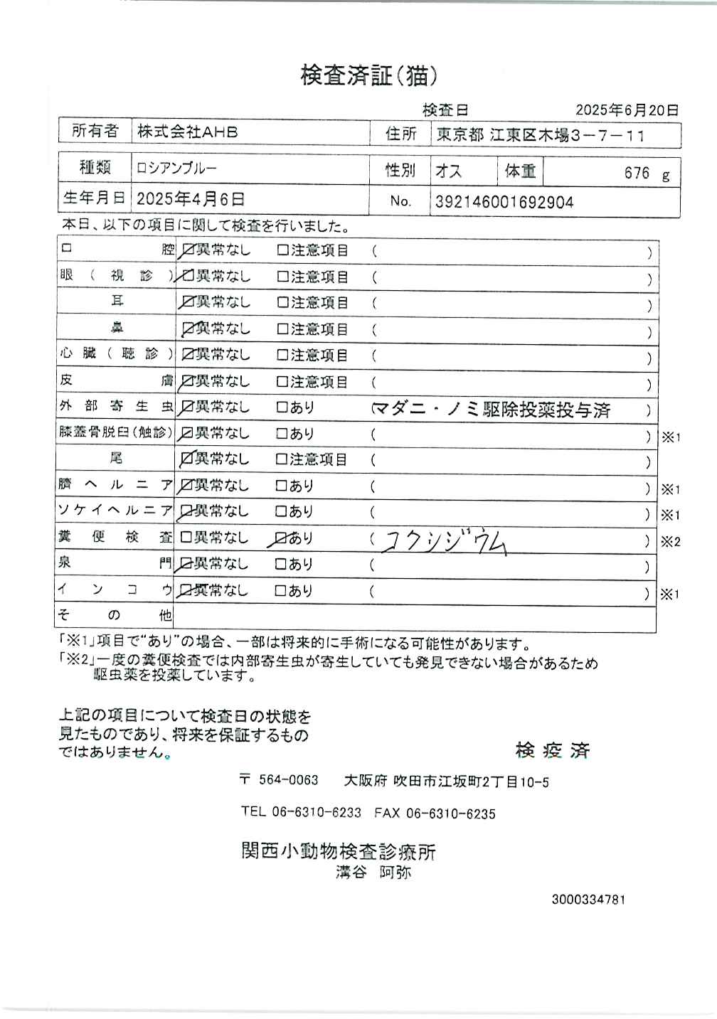 ロシアンブルー
