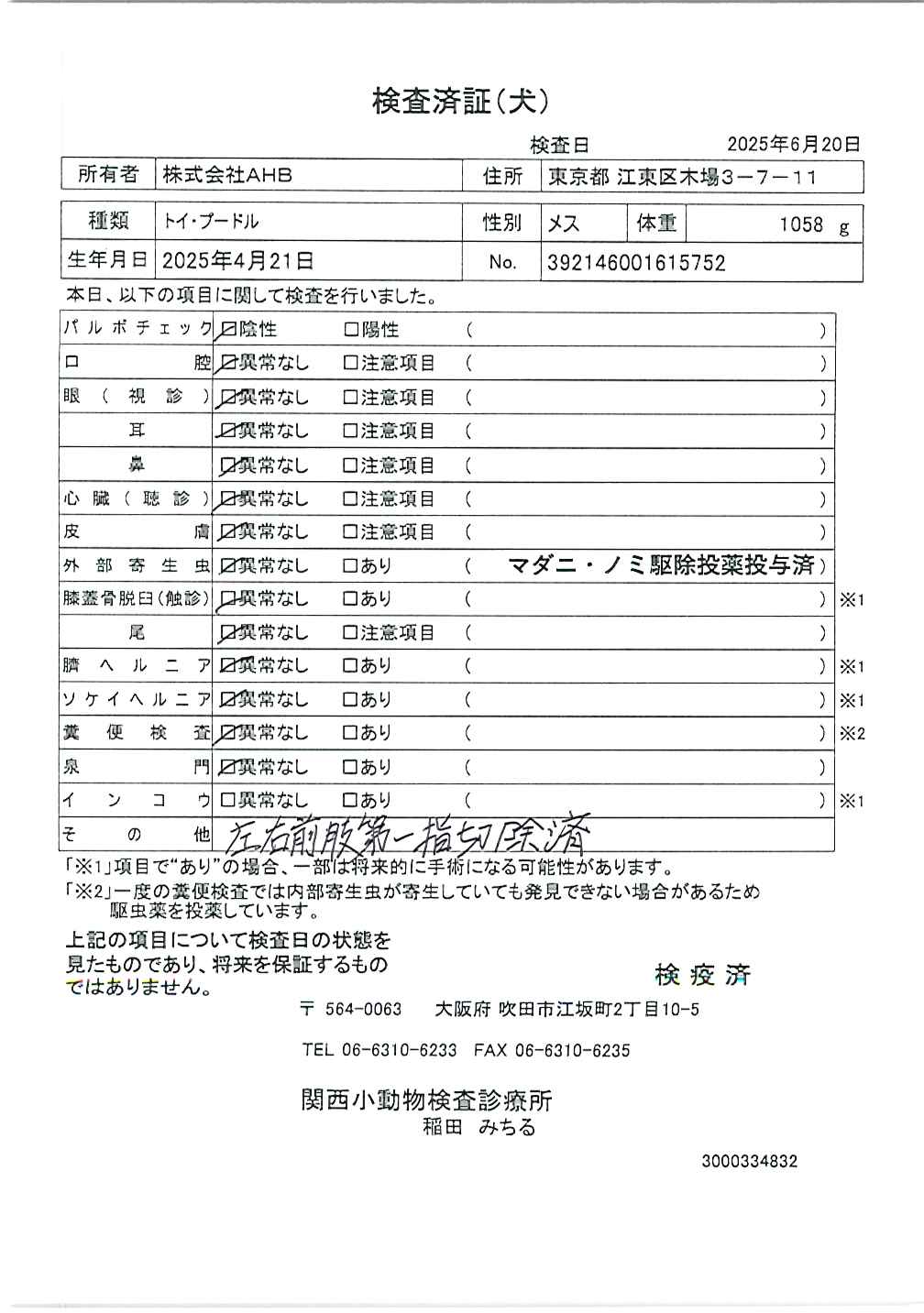 トイ・プードル