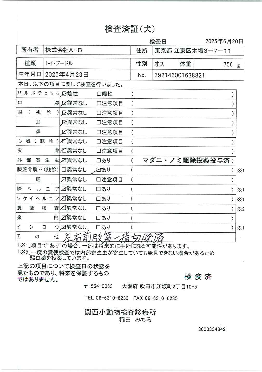 トイ・プードル