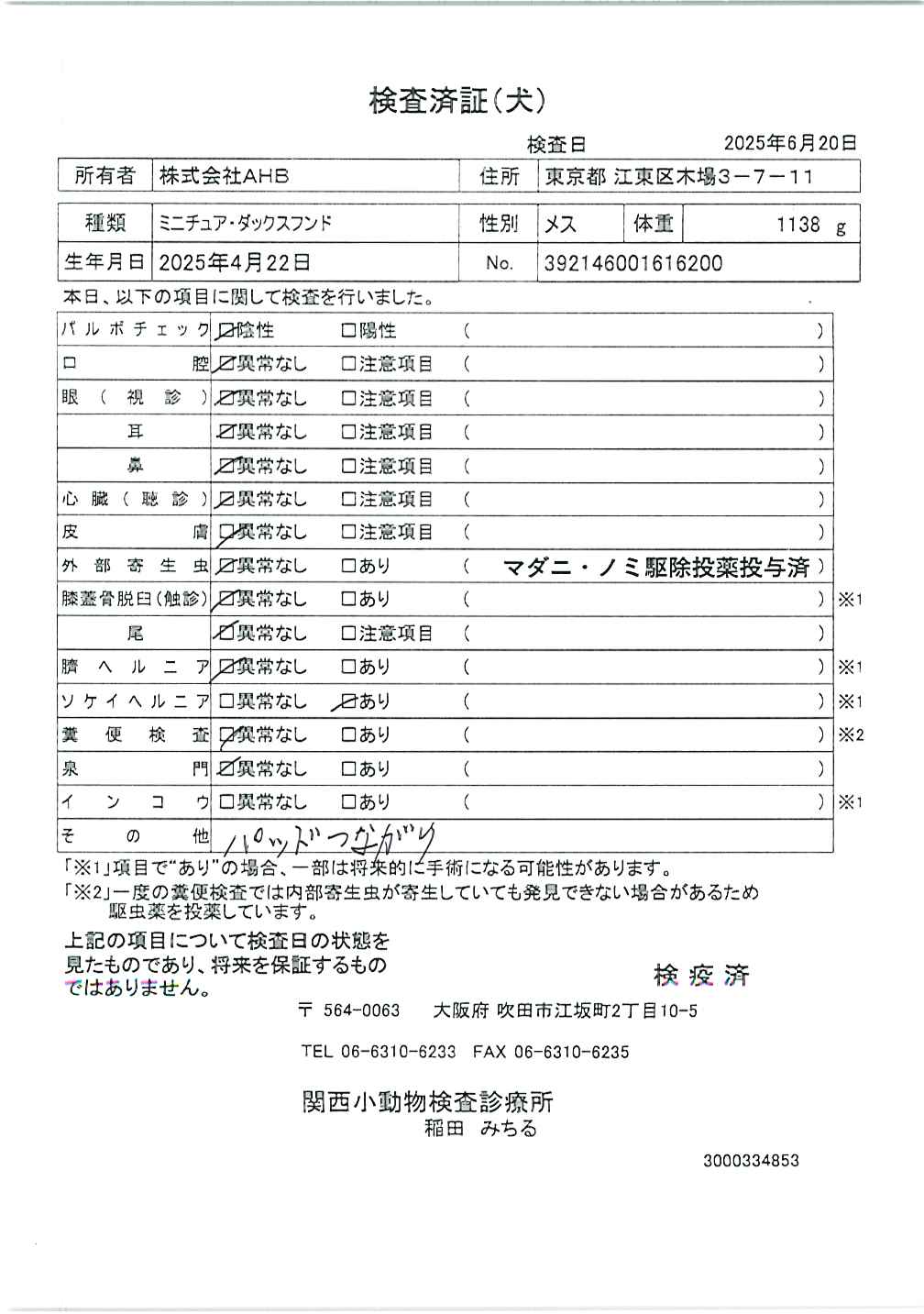 ミニチュア・ダックスフンド