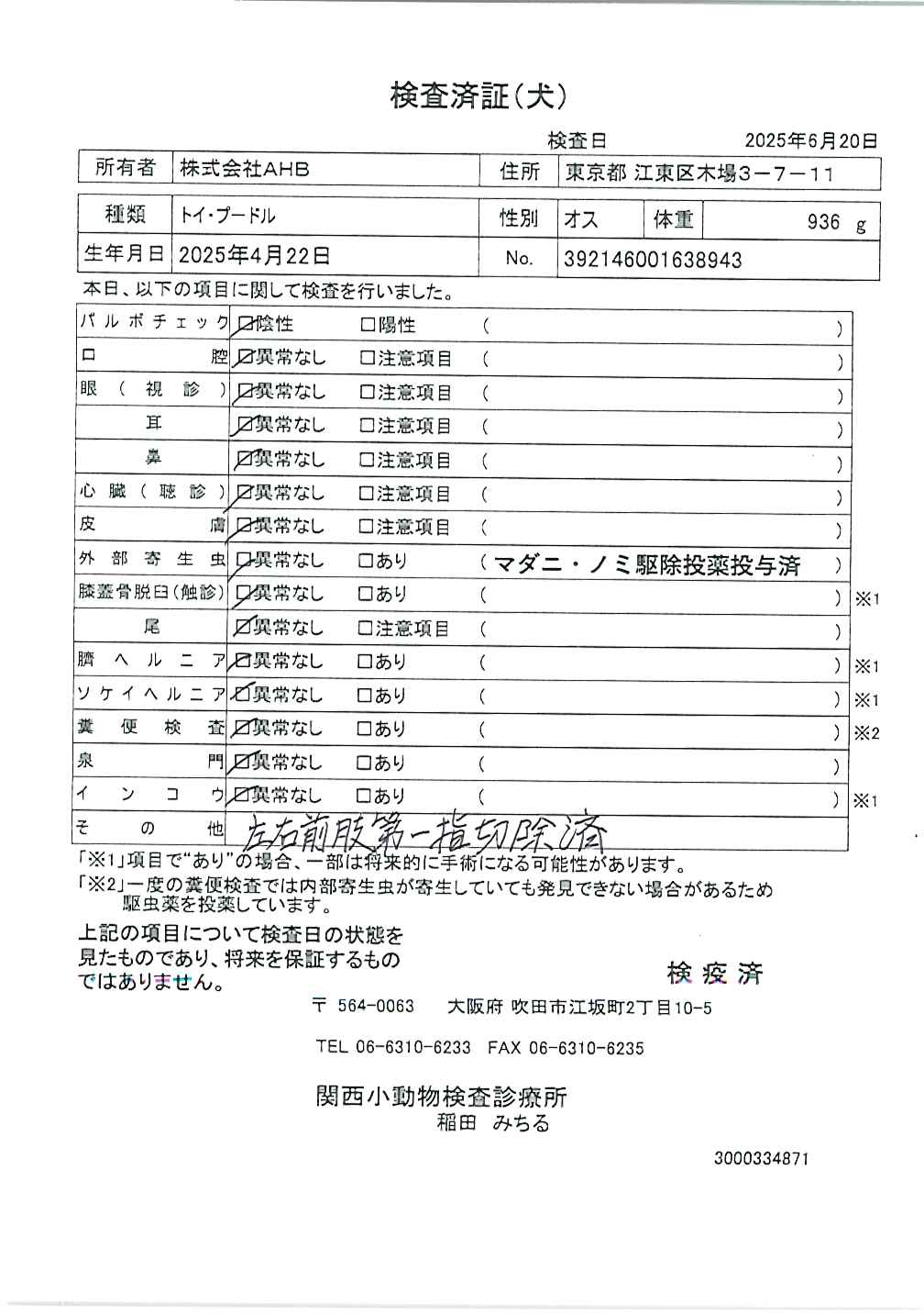 トイ・プードル