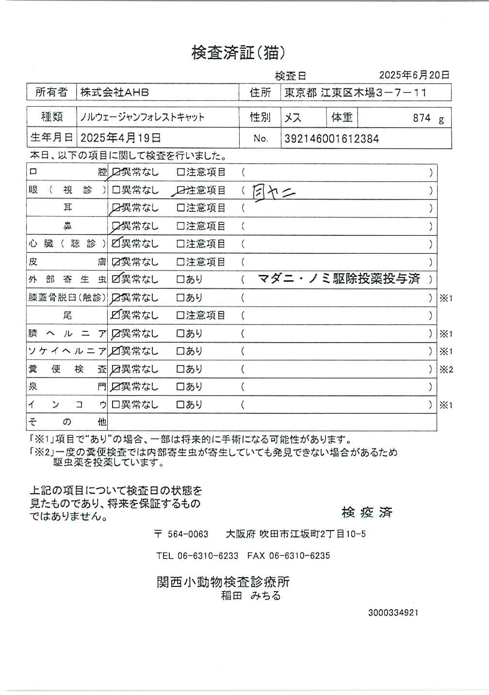 ノルウェージャンフォレストキャット